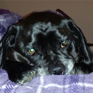 Meet your Posher, Jenn